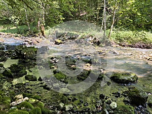 Small mountain river GerovÃÂica, Zamost - Region of Gorski kotar, Croatia / Mala gorska rijeka GerovÃÂica photo